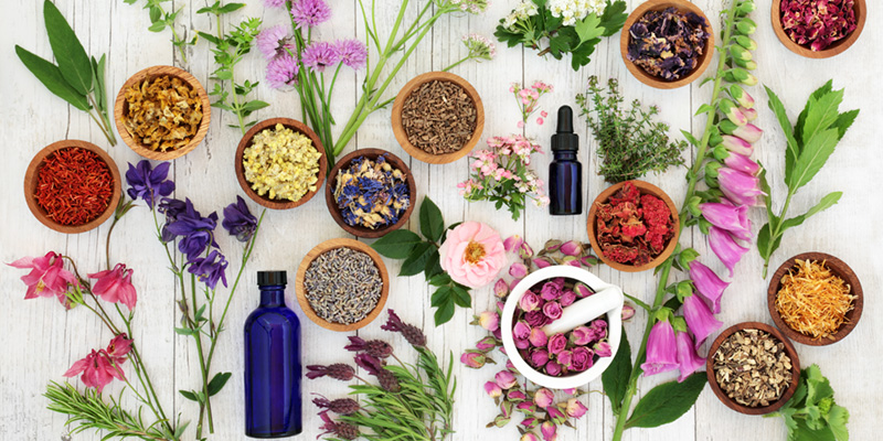 Essential Oils and herbs