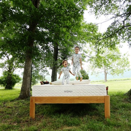 kid friendly affordable mattress - Earthspring natural innerspring mattress outdoors amongst the trees