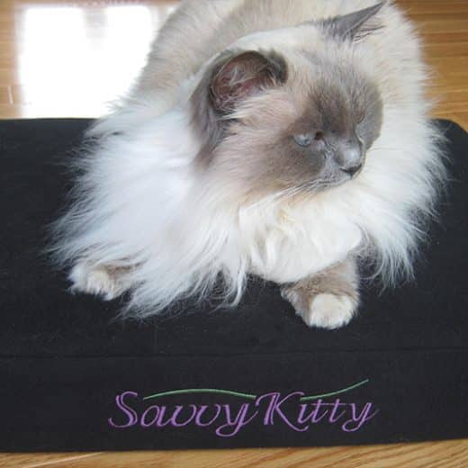 Savvy Kitty natural cat bed with organic latex