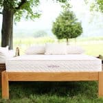 Savvy Rest's Earthspring natural mattress