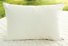 Organic Kapok Pillow