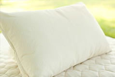 Organic Pillows