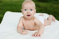 Organic Crib Mattress: Savvy Baby