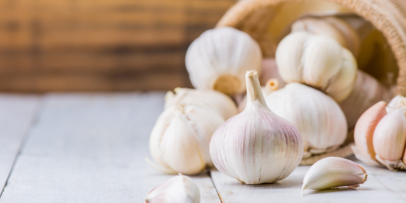 health benefits of garlic