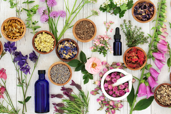 The Power of Herbal Remedies: 10 Herbs You Should Know