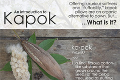 What is Kapok?