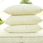 organic wool pillow